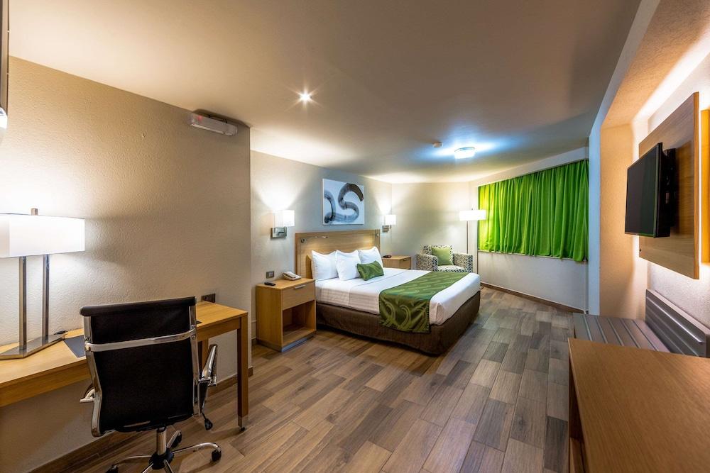 Hotel La Joya Pachuca Exterior foto A typical hotel room
